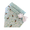 Turtles & Gingham