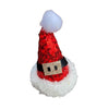 Santa Hat