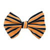 Black & Orange Stripe