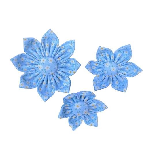 Daisies on Light Blue
