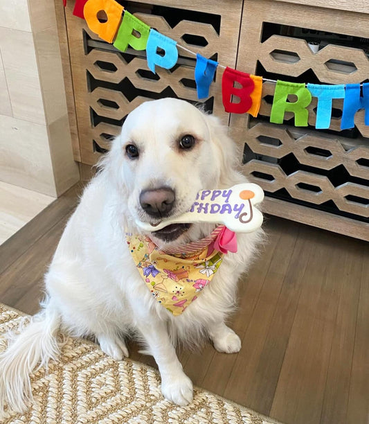 It's Your Birthday, Yellow