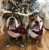 Red Buffalo Plaid with Snowflakes
