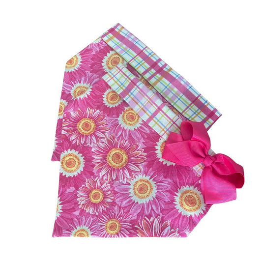 Pink Daisies