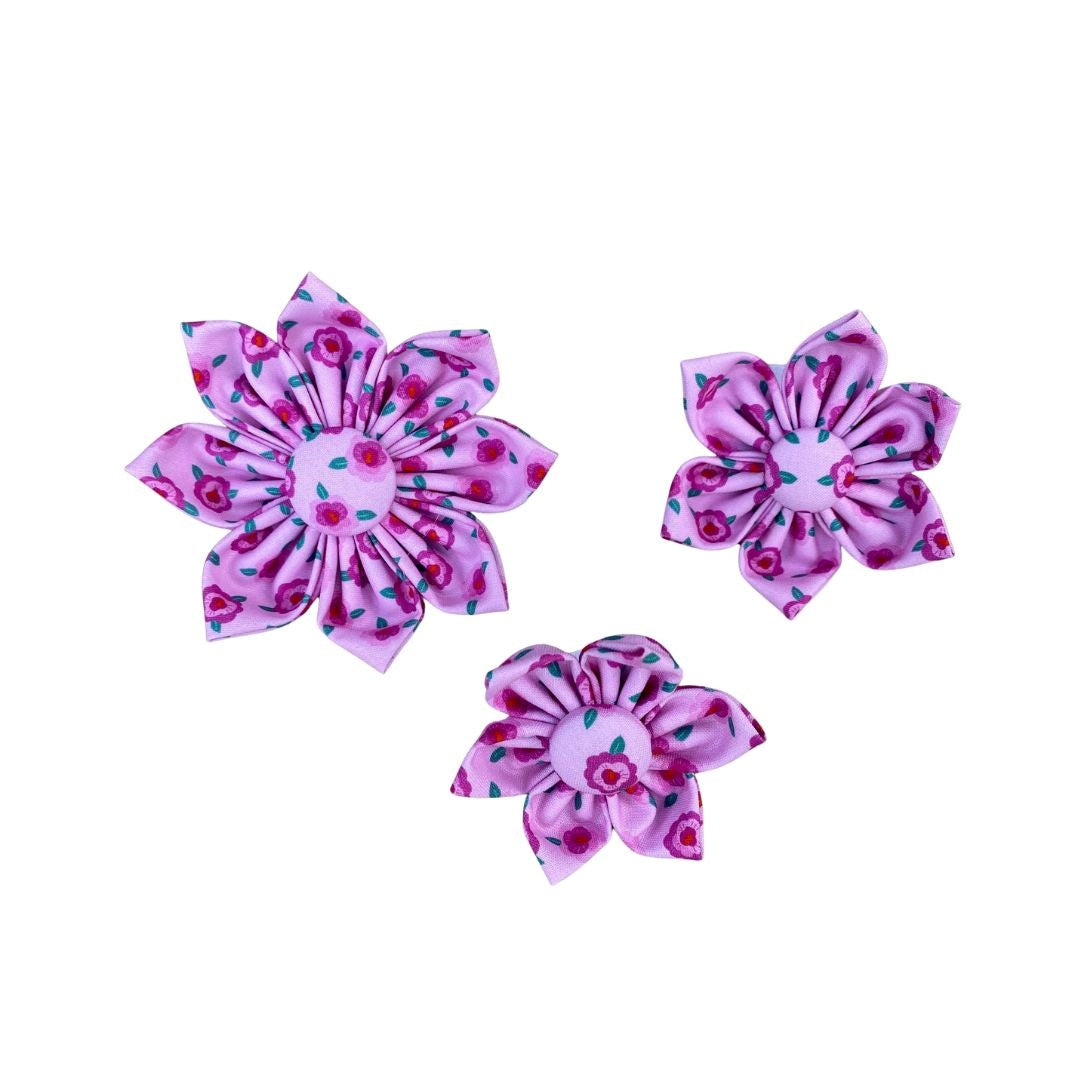 Pink Roses