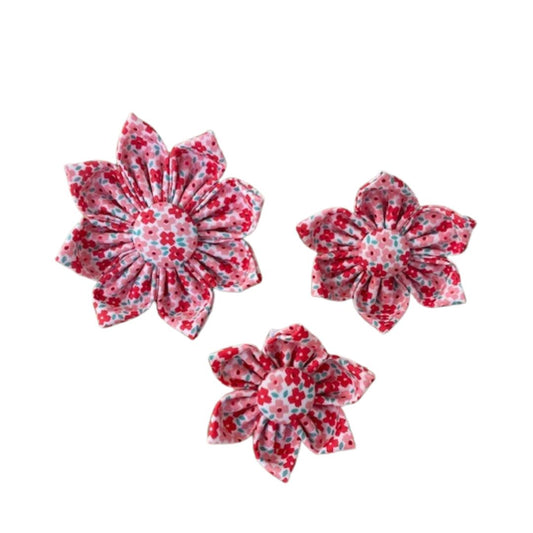 Pink & Red Flowers