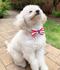 Stars & Stripes, Red