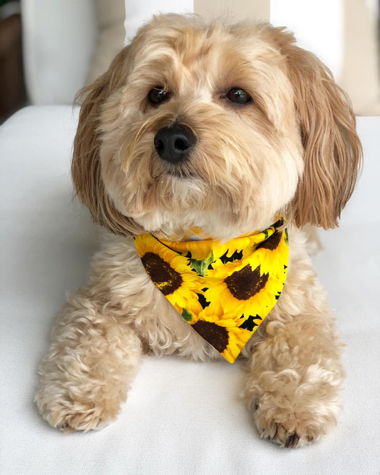 Sunflowers & Yellow Gingham