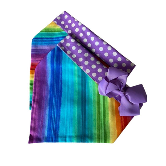 Painted Rainbow