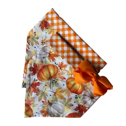 Pumpkins & Leaves