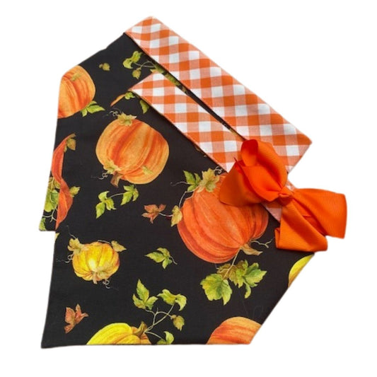 Pumpkins & Vines